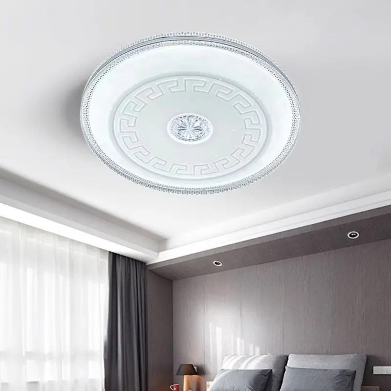 ceiling lamp (6)
