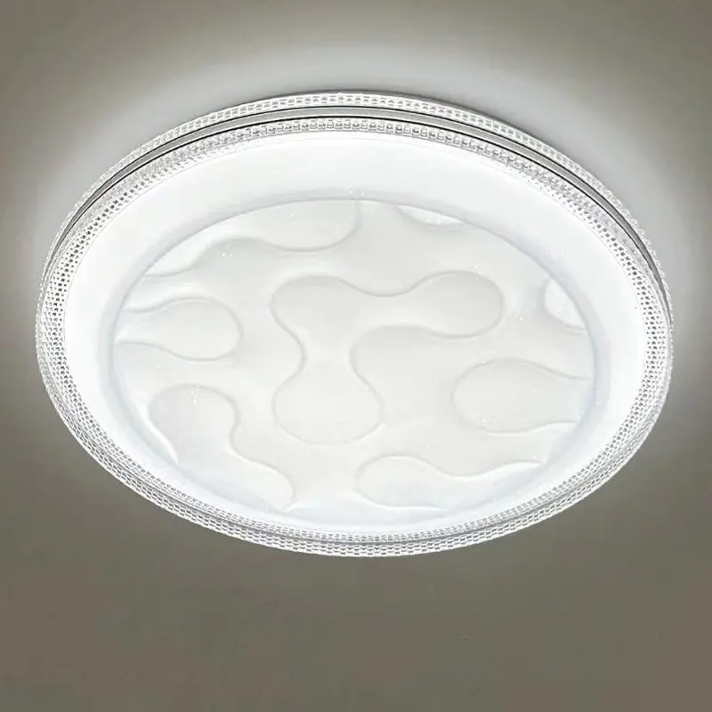 Irregular Fluid Pattern Round LED Ceiling Lamp fo ( (4).jpg