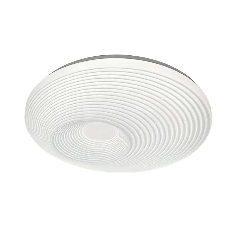 Ceiling light (2).jpg