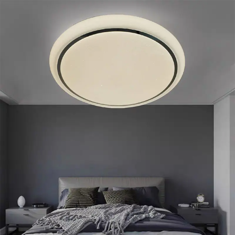 Ceiling light3.jpg