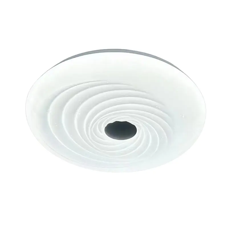 Minimalist Elegant Spiral Design Ceiling Light YW-CLC102