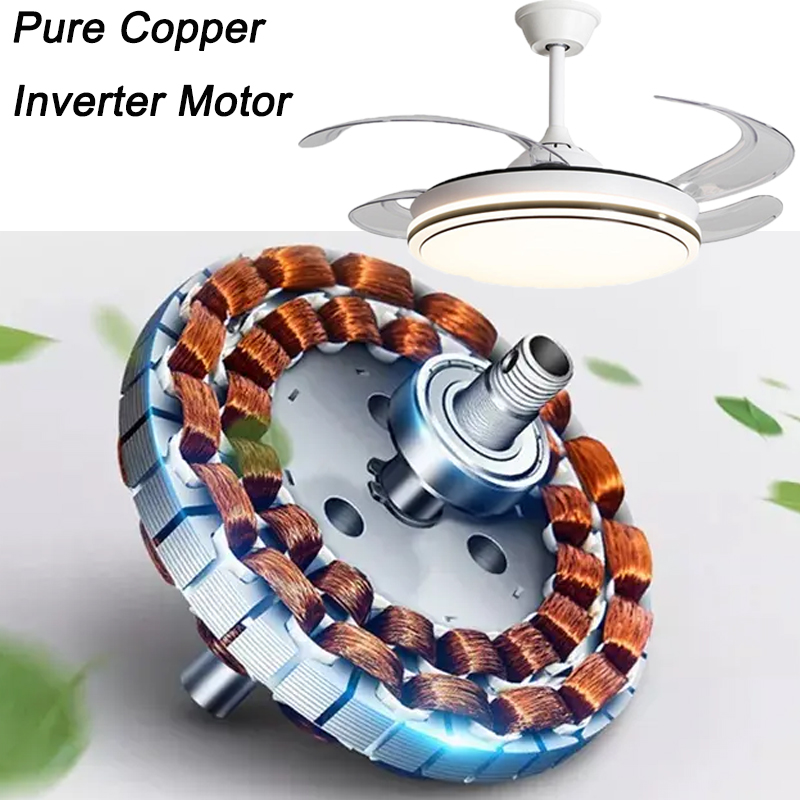 Copper Inverter Motor