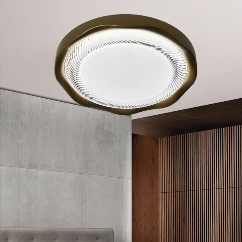 ceiling light (3).jpg
