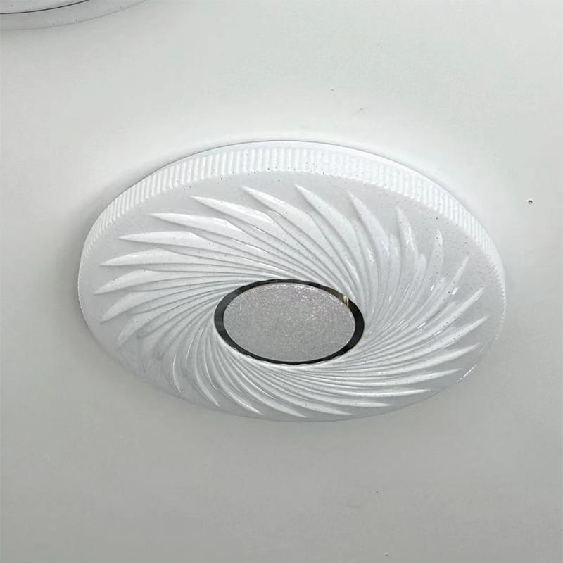 Twinkling Starry Sky Style Single Ring Led Ceiling light YW-CLB024-DQ