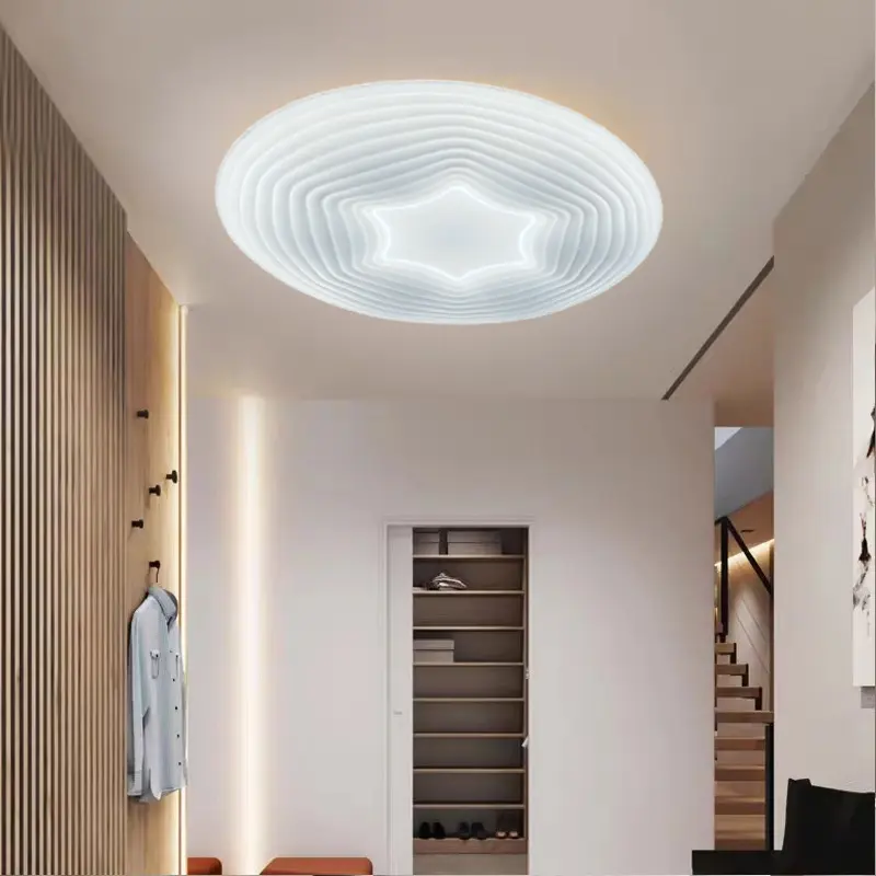 ceiling light (3).jpg