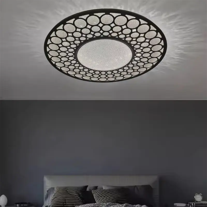 black ceiling light2.jpg