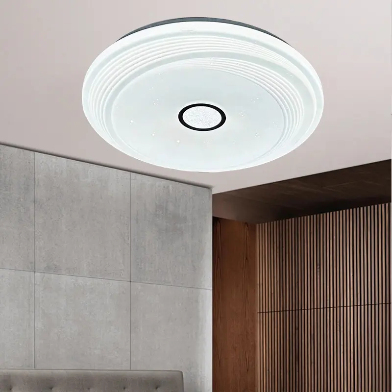 ceiling light (5).jpg