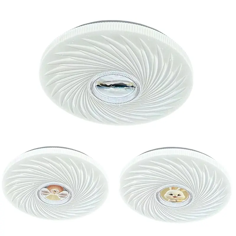 Cartoon Design Round Home Decoration Ceiling Light YW-CLC105