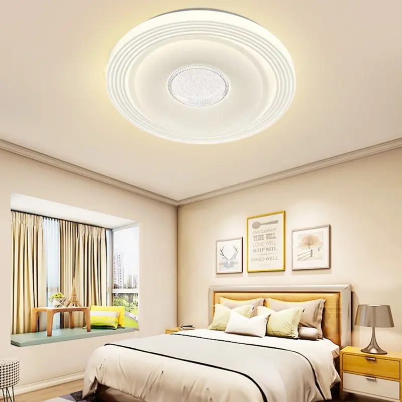ceiling lamp (4)