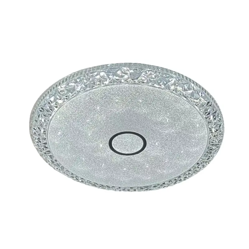 Ceiling fixture (1)主图一