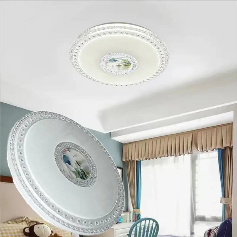 Ceiling fixture (2)