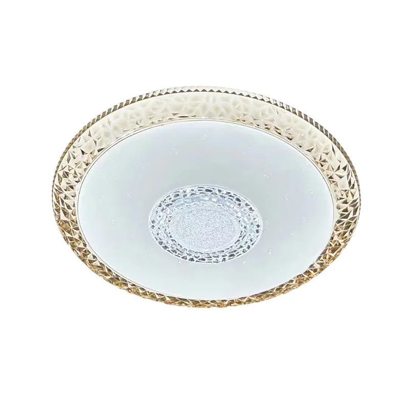 Ceiling light (1)主图一.jpg