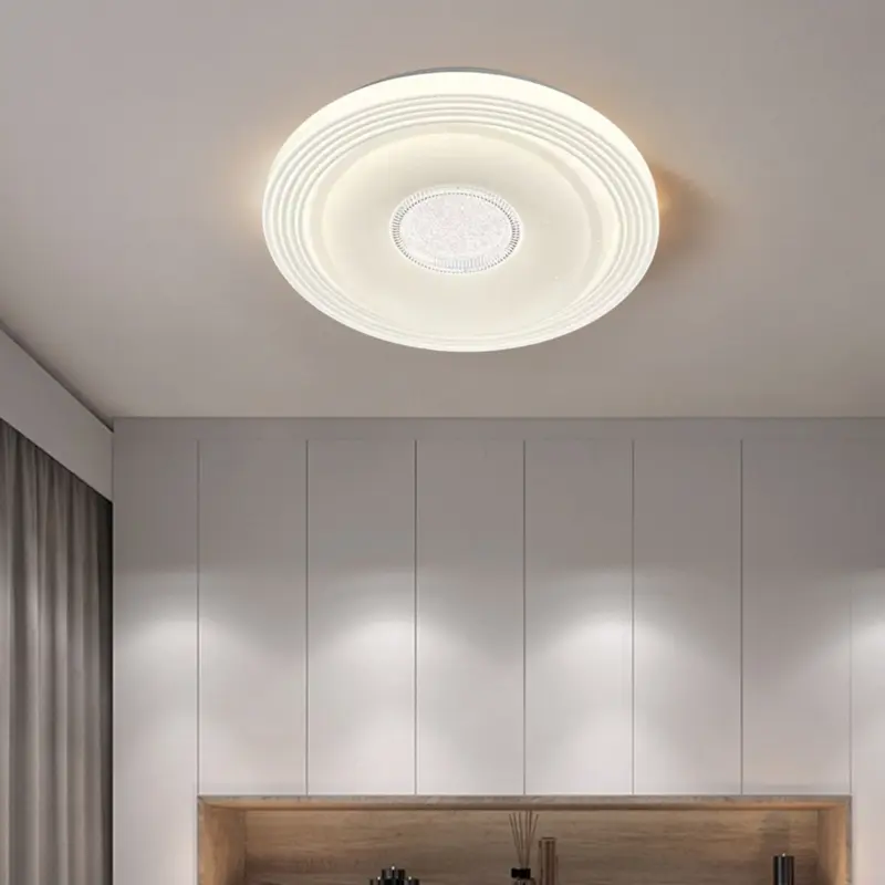 ceiling lamp (6)
