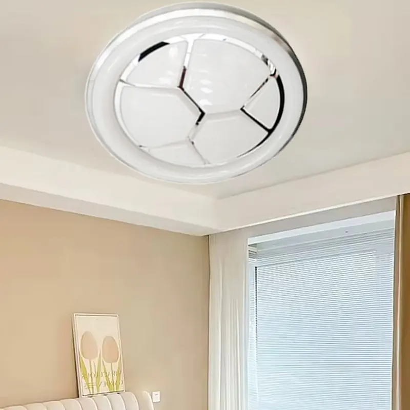 ceiling lamp (4)