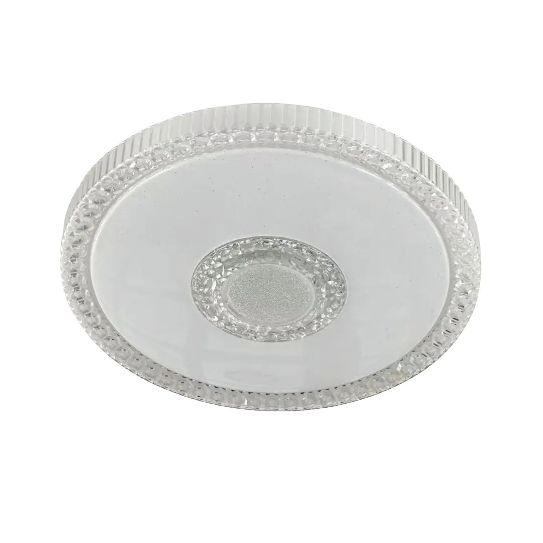 fashion ceiling light (1)