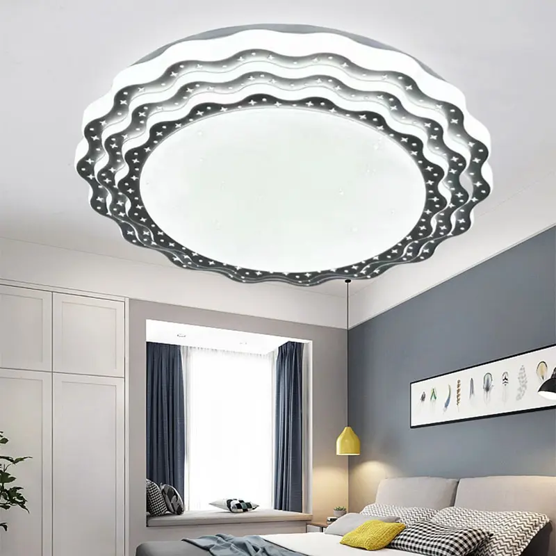 ceiling light2.jpg