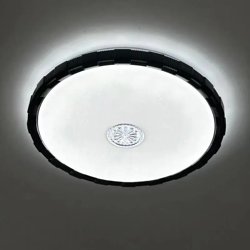 ceilinglamp (6)