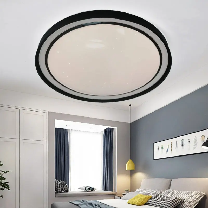 fashion ceiling light (4)