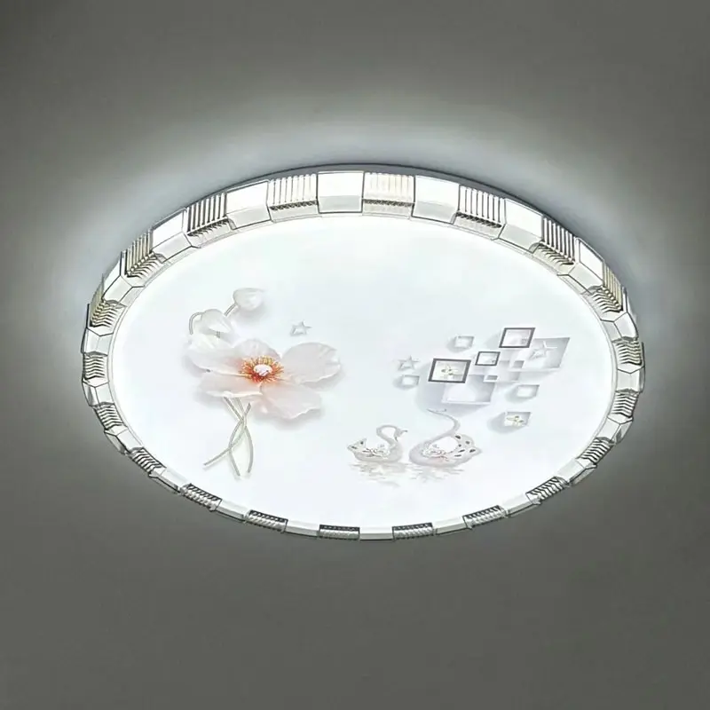 Ceiling Light (2)