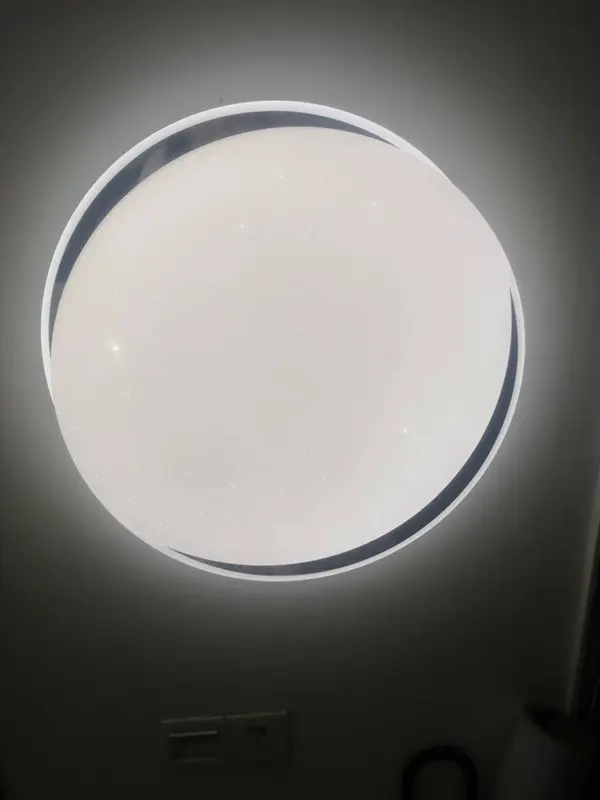 ceiling light1