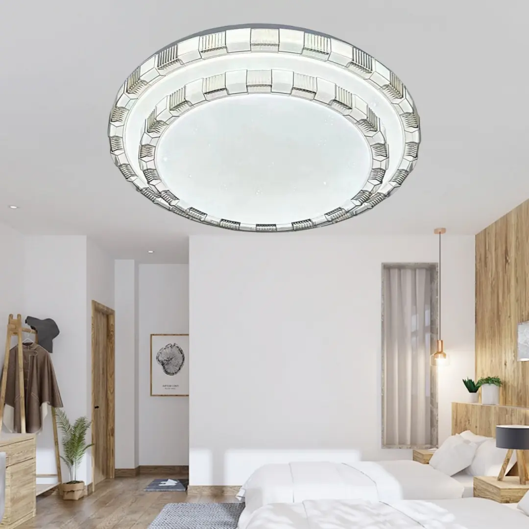 ceiling light (2).jpg
