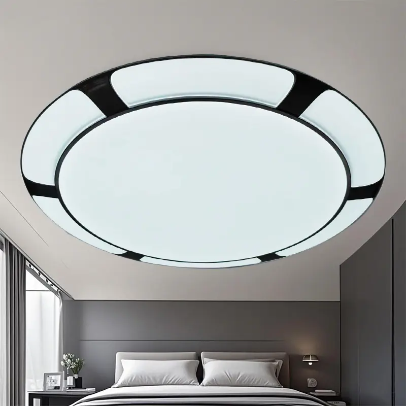 ceiling light 2.jpg