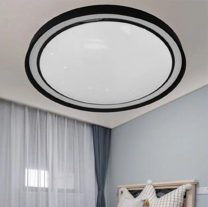 fashion ceiling light (1)