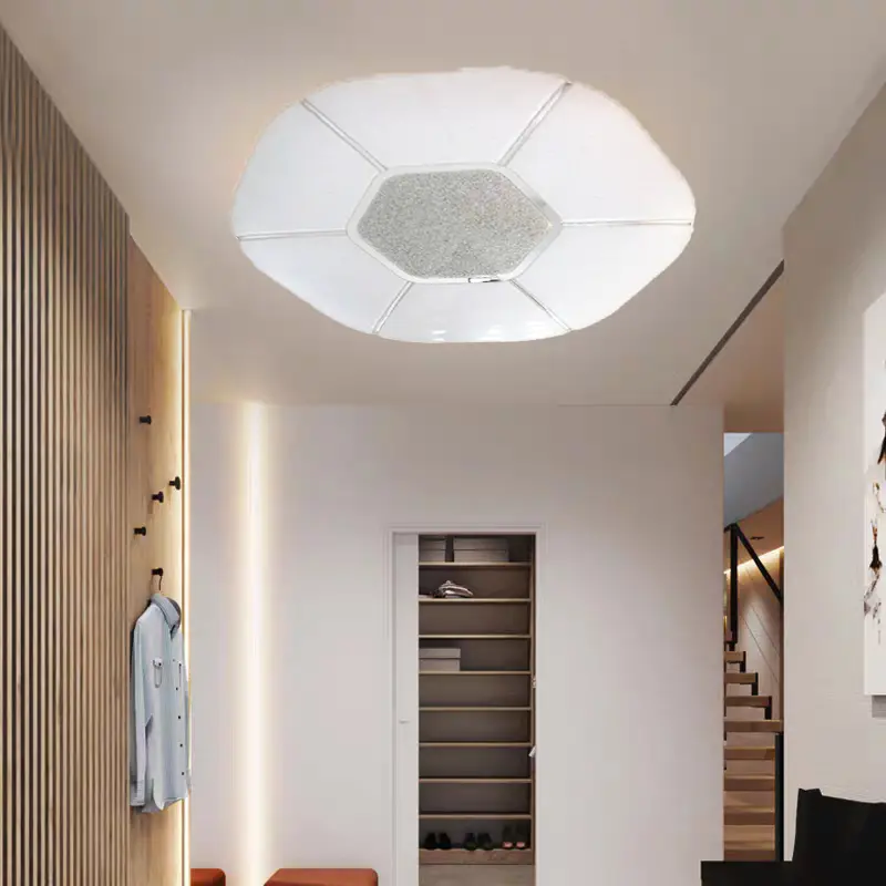 Ceiling Light (3).jpg