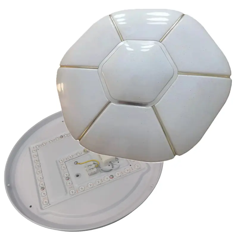 Ceiling Light (1).jpg