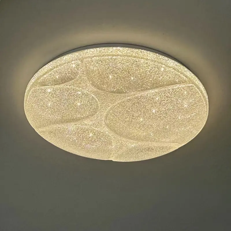 ceiling lamp (4)