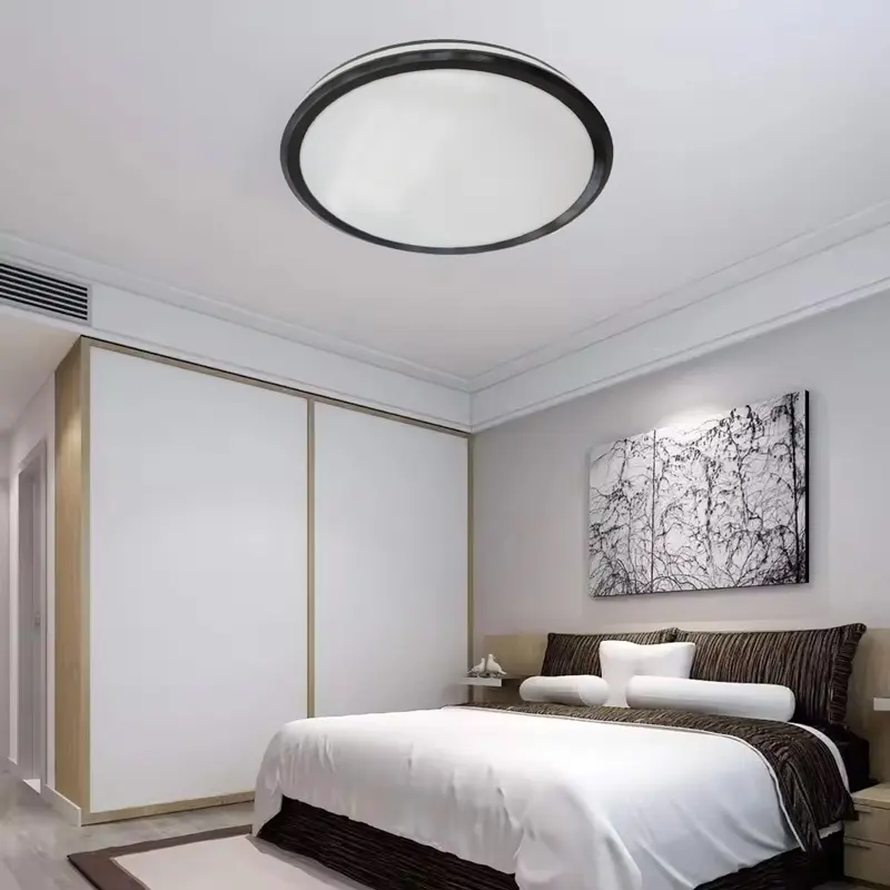 ceiling light1.jpg