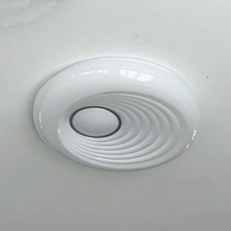 fashion ceiling light (4)