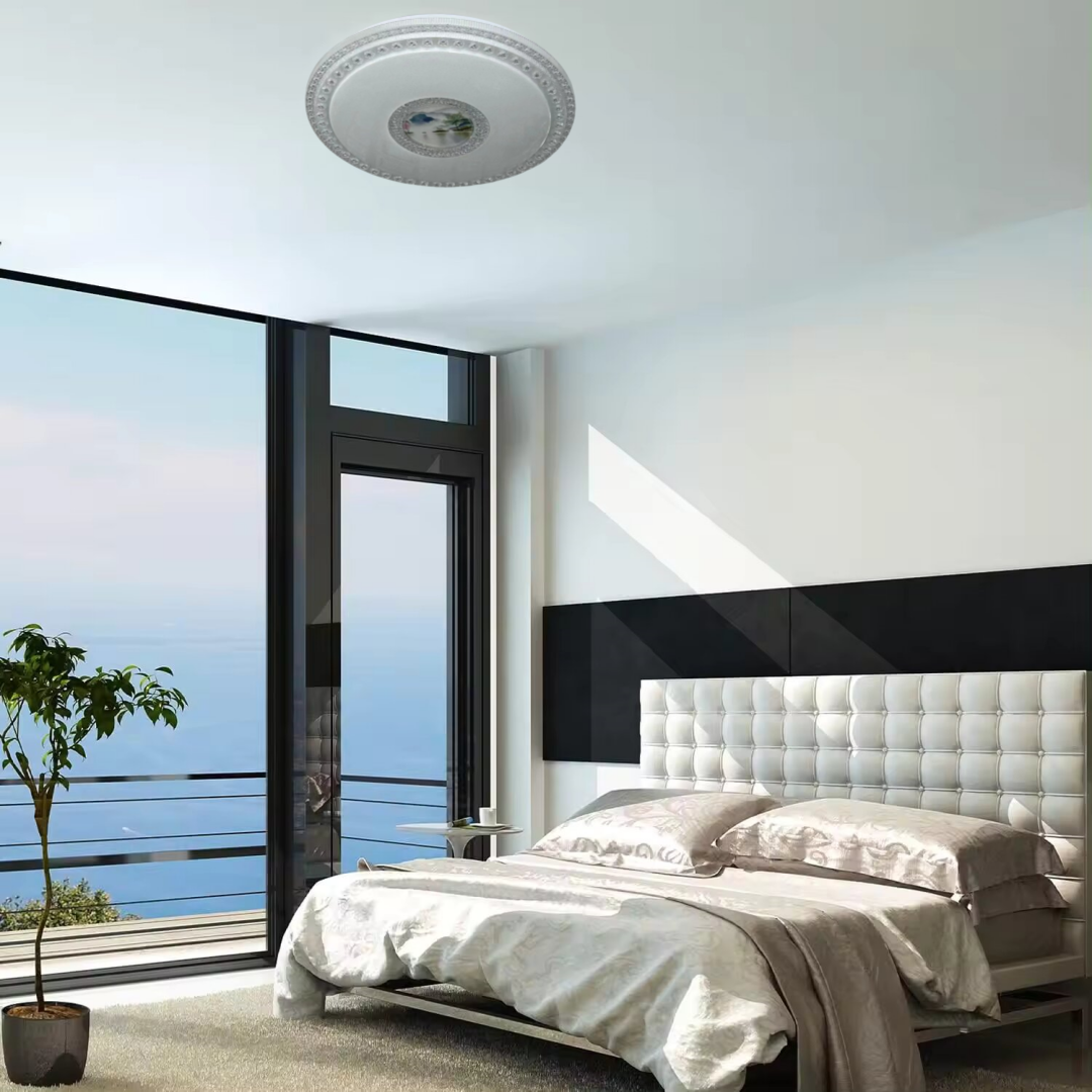 Ceiling fixture (2).png