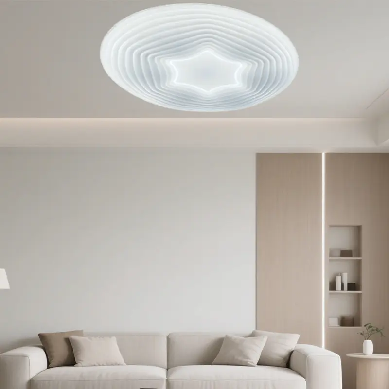 ceiling light (2).jpg
