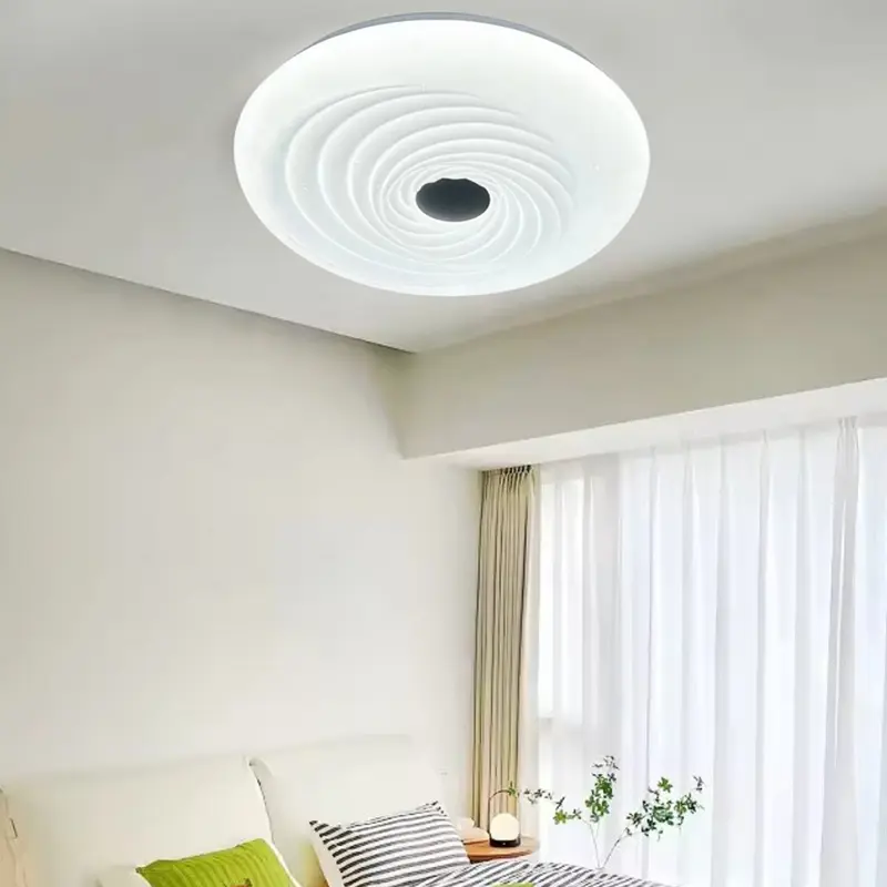 ceiling fixture (7) main2.jpg