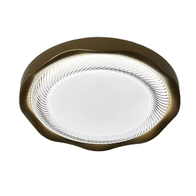 ceiling light (6).jpg