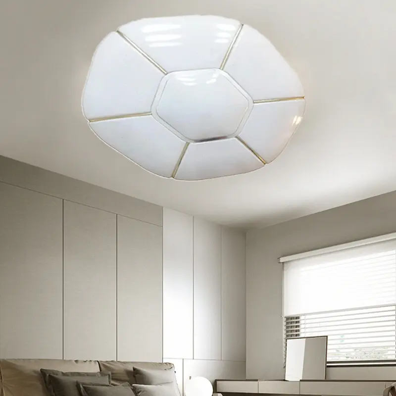 Ceiling Light (7).jpg