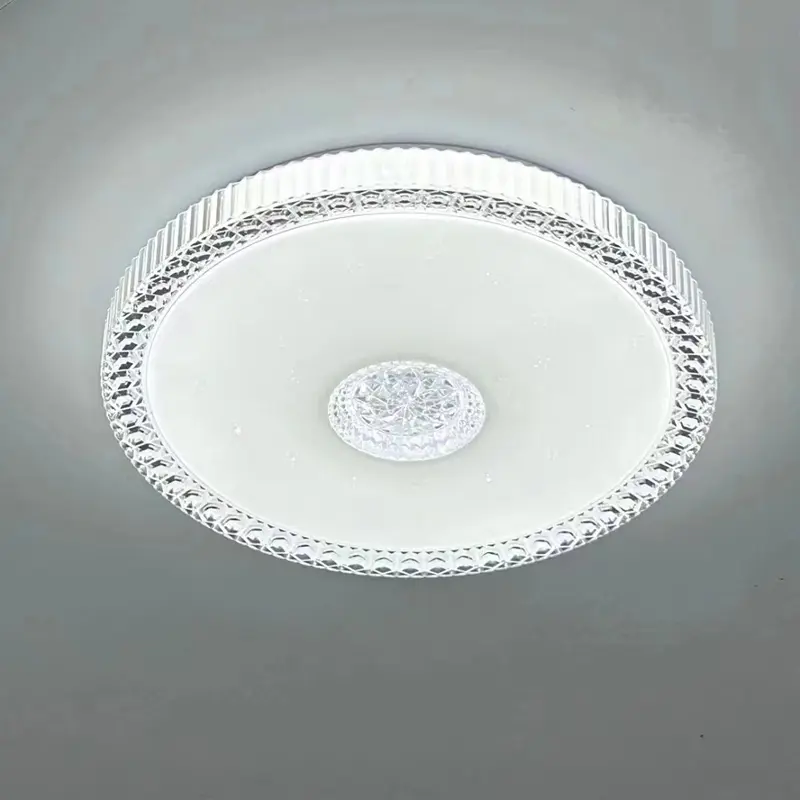 ceiling lamp (4)