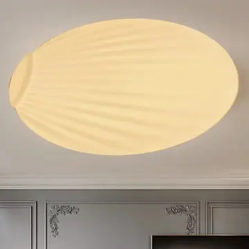 Ocean Shell Style Modern Living Room Use Led Ceiling Lights YW-CLB060