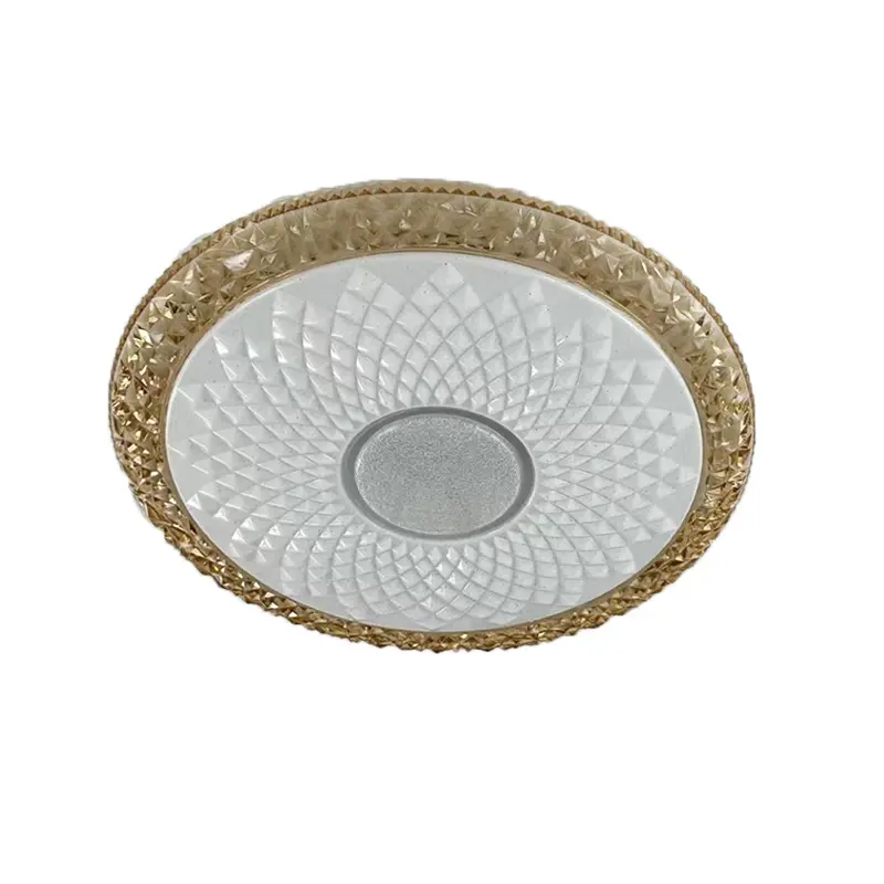 ceiling light (1)主图一.jpg