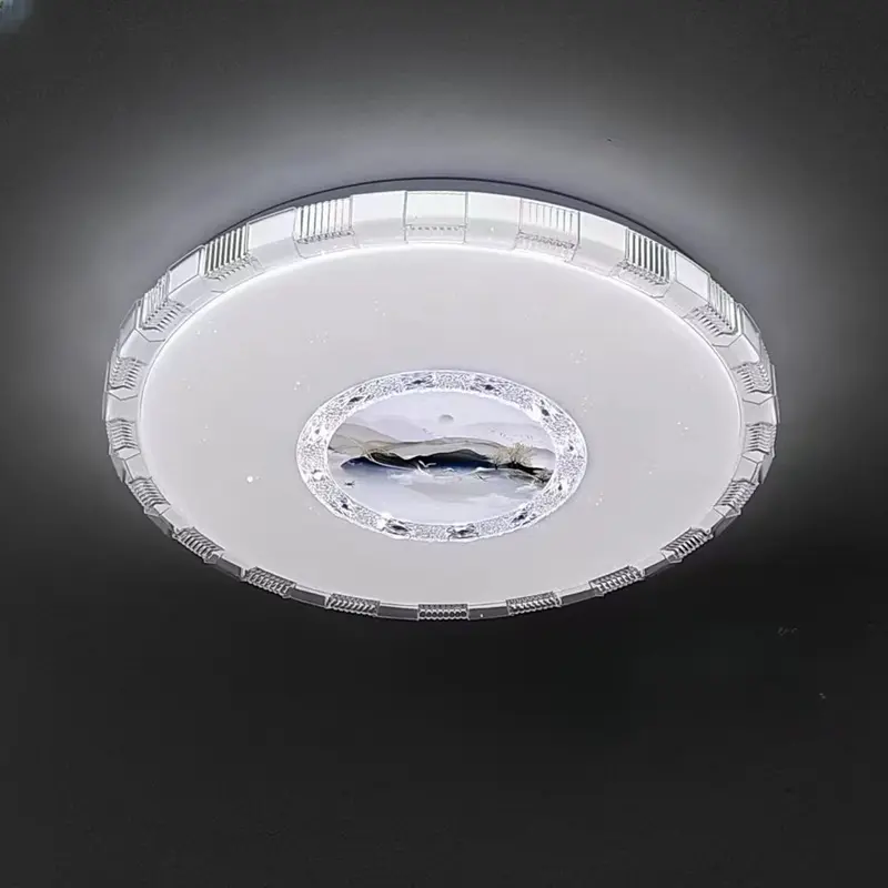 主图二ceiling light2.jpg