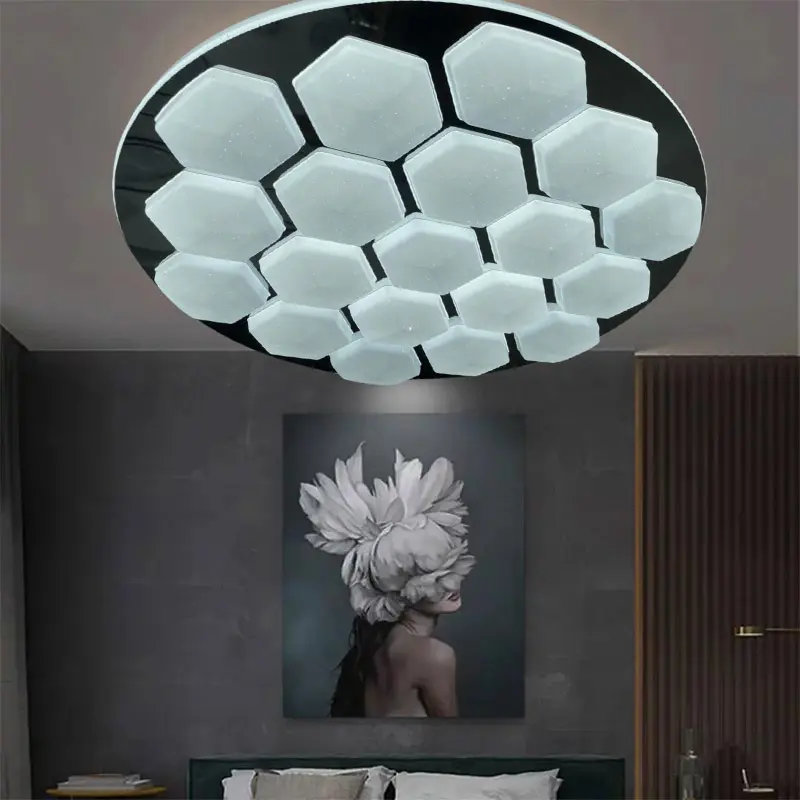 ceiling light 2
