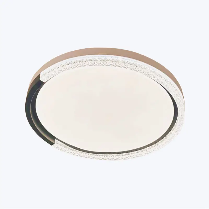 Modern Circular Ceiling Light Sleek Design YW-CLB014