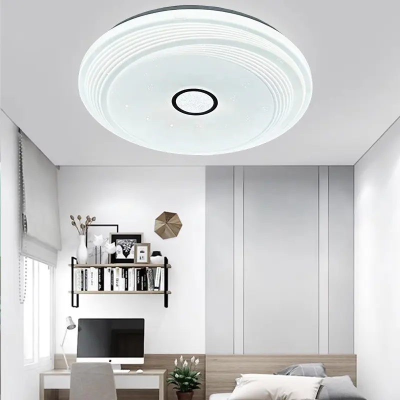 ceiling light (4).jpg