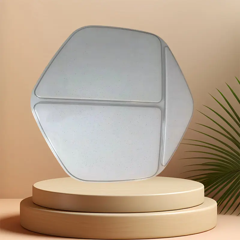 Ceiling Fixture main1.jpg