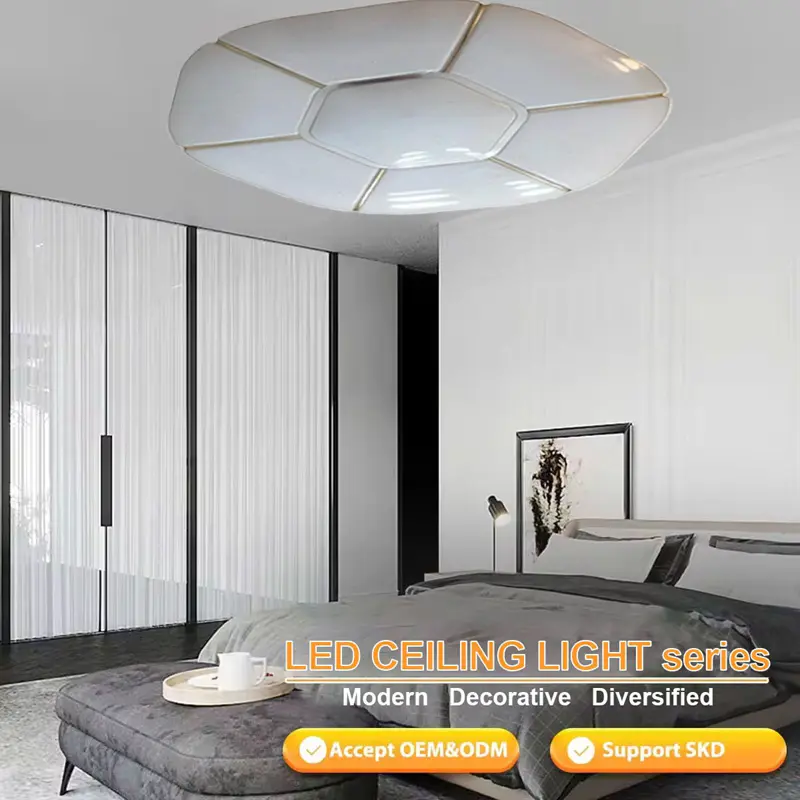 Ceiling Fixture (10)