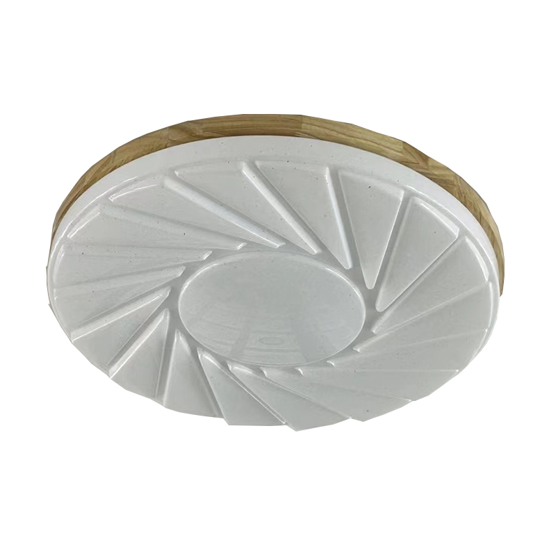 ceiling light (1)