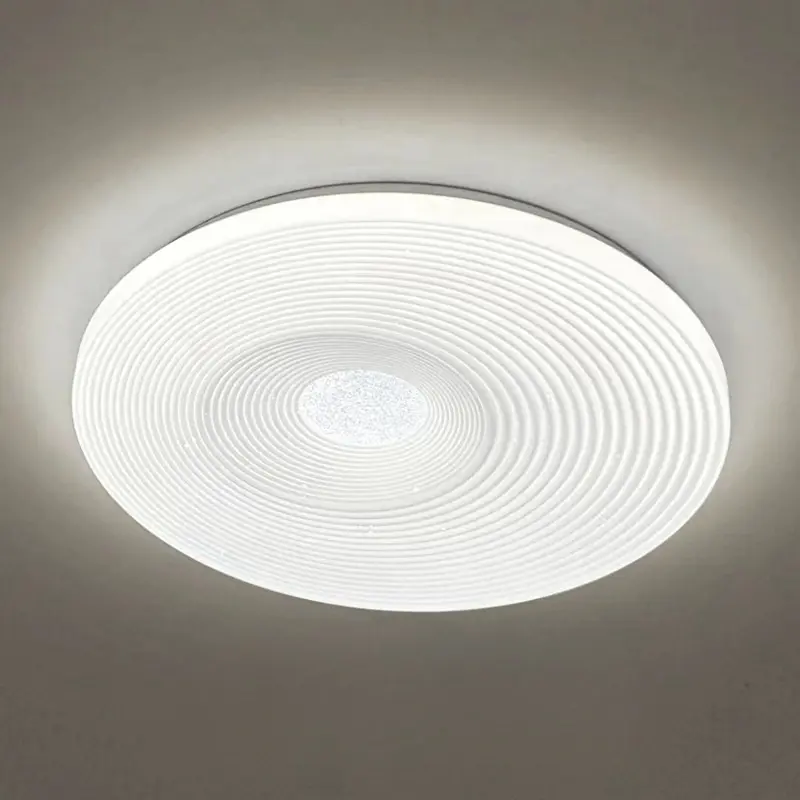 ceiling lamp (4)