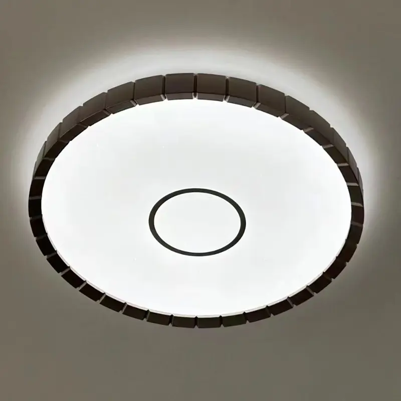 ceiling lamp (6)