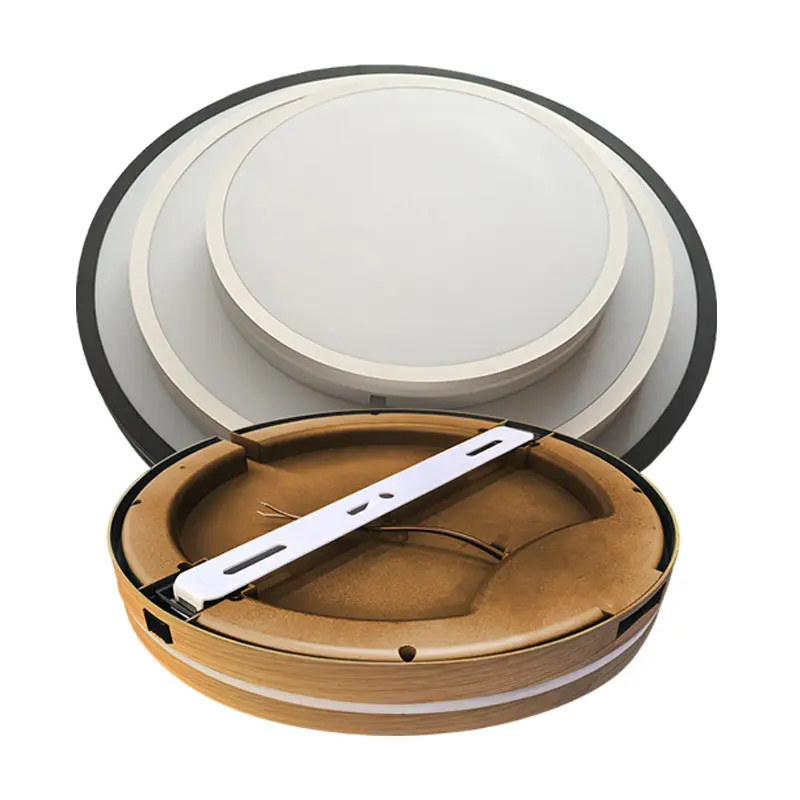 ceiling light (1).jpg